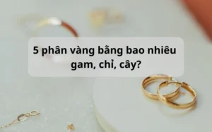 5-phan-vang-18k-bao-nhieu-tien-nam-2026-cap-nhat-moi-nhat_724
