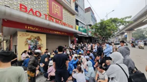 bao-tin-manh-hai-lo-trinh-phat-trien-va-dich-vu-vang-tai-ha-_230