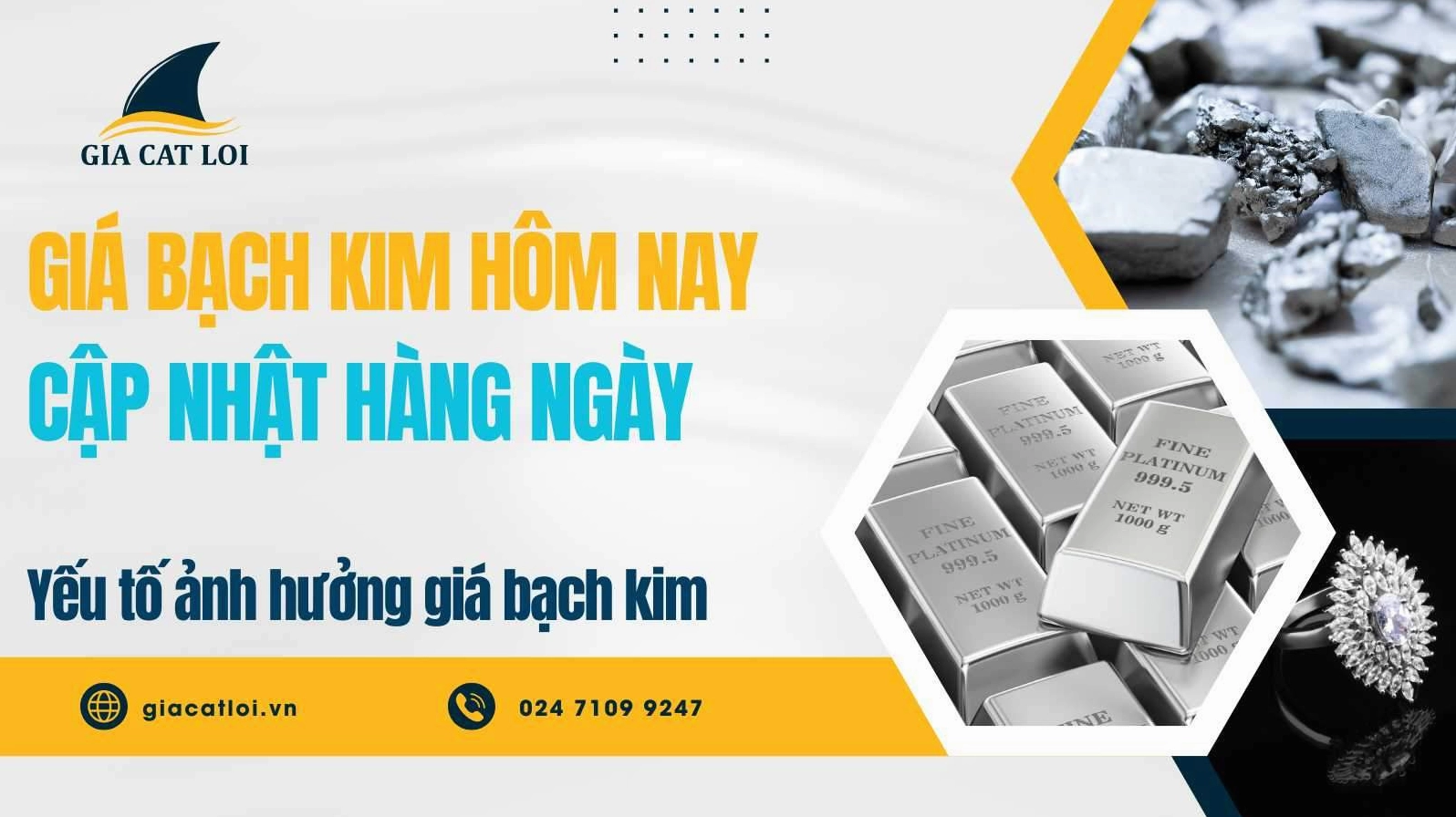 Biểu đồ biến động giá bạch kim
