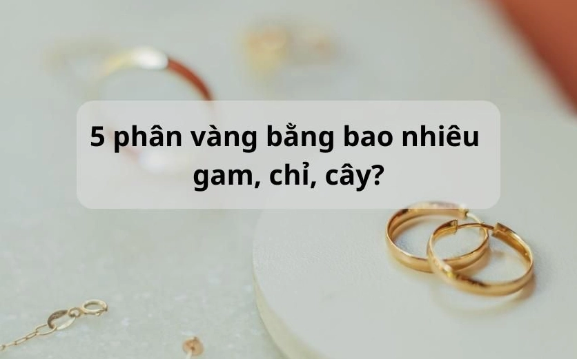 Biểu đồ biến động giá vàng 9999