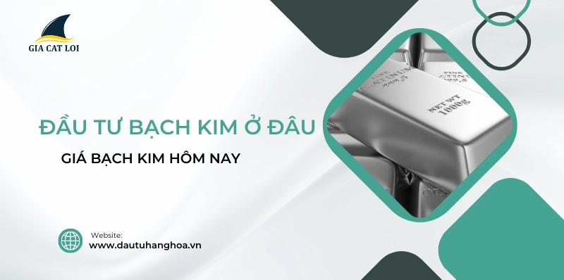 Biểu đồ giá bạch kim hôm nay 1 gam