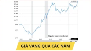 bieu-o-gia-vang-5-nam-qua-phan-tich-va-du-bao-2026_253