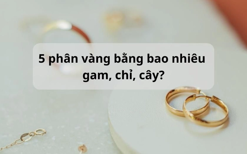 Biểu đồ giá vàng cập nhật