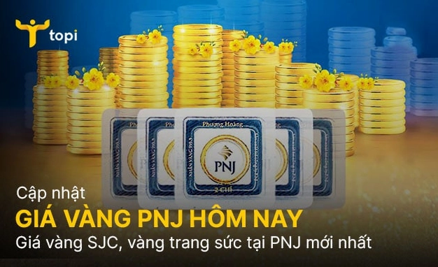 Biểu đồ giá vàng PNJ theo thời gian