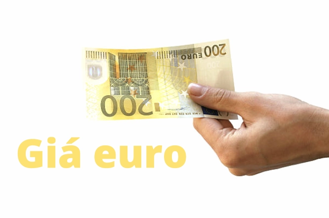 Biểu đồ tỷ giá ngoại tệ