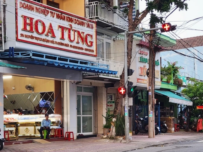 Cánh đồng Vàng Hoa Tùng rực rỡ