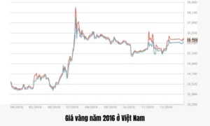 gia-vang-2016-bien-ong-du-bao-va-loi-khuyen-au-tu-2026_727