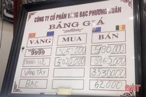 gia-vang-ha-tinh-hom-nay-cap-nhat-bien-ong-moi-nhat-2026_452