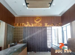 gia-vang-hoang-lan-ninh-thuan-hom-nay-2026-cap-nhat-du-bao_531