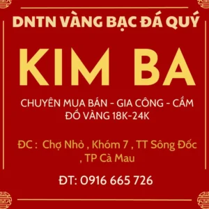 gia-vang-hom-nay-ca-mau-bien-ong-du-bao-2026_722