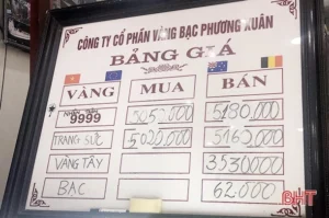gia-vang-hom-nay-tai-ha-tinh-bien-ong-du-bao-2026_270