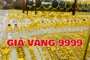 gia-vang-hom-nay-tai-hai-hau-nam-inh-cap-nhat-moi-nhat-2026_117