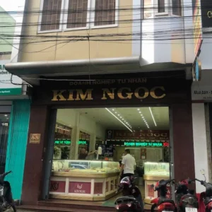 gia-vang-kim-ngoc-2026-du-bao-phan-tich-va-loi-khuyen-au-tu_362