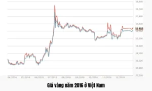 gia-vang-nam-2016-bien-ong-va-du-bao-tuong-lai_802