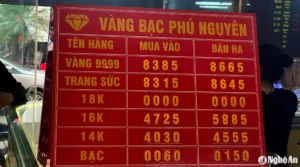 gia-vang-nghe-an-hom-nay-2026-cap-nhat-chi-tiet-va-du-bao_510