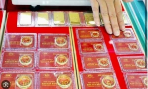 gia-vang-nhan-tron-mi-hong-2026-phan-tich-du-bao_922