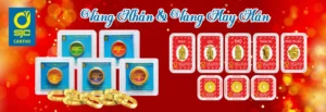 gia-vang-sjc-can-tho-hom-nay-phan-tich-du-bao-2026_164