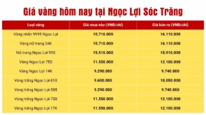 gia-vang-soc-trang-2026-cap-nhat-phan-tich-du-bao_175