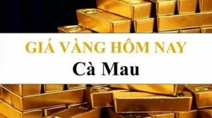 gia-vang-thi-truong-ca-mau-hom-nay-du-bao-xu-huong-2026_897