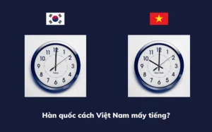 gio-han-quoc-va-viet-nam-kham-pha-chenh-lech-va-nhung-ieu-ca_337