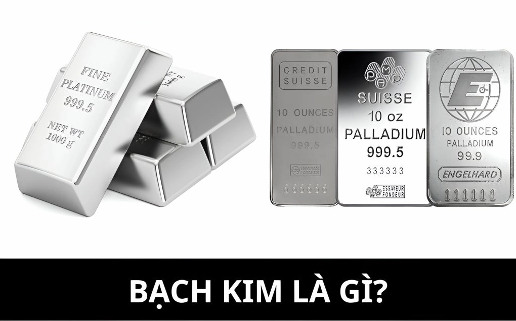 Tìm hiểu về Bạch kim là gì