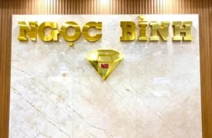 vang-ngoc-binh-inh-vi-thuong-hieu-trang-suc-vang-cao-cap-202_995