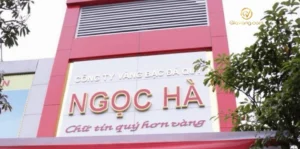 vang-ngoc-ha-2026-loi-khuyen-au-tu-va-phan-tich-chi-tiet-nha_973