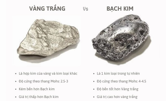 Vòng cổ vàng trắng 10k